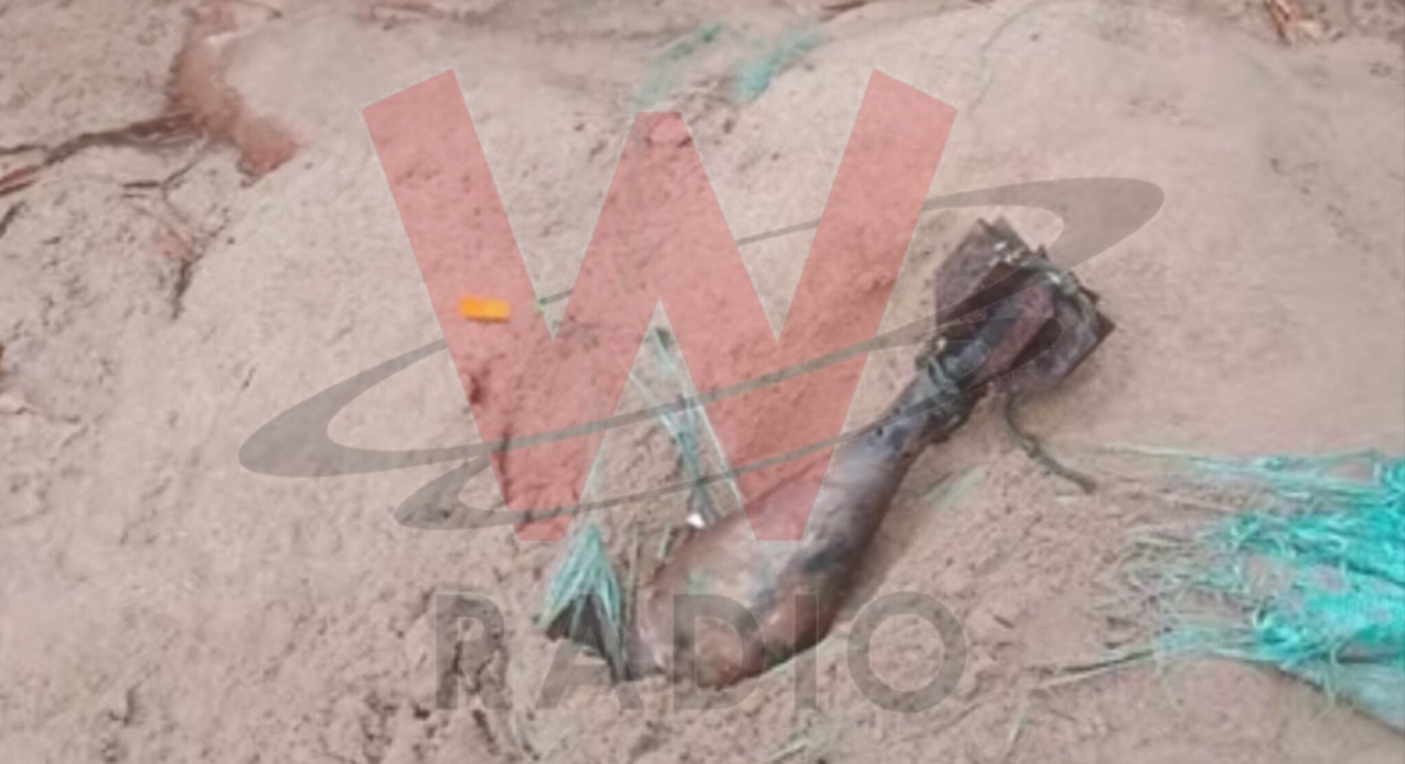 Foto: Cortesía comunidad.