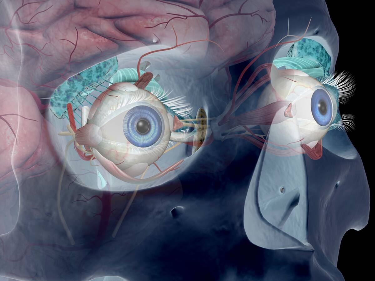 Enfermedad tiroidea ocular: ¿Qué es y cuáles son los síntomas de alerta?