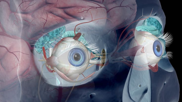 Enfermedad tiroidea ocular: ¿Qué es y cuáles son los síntomas de alerta?