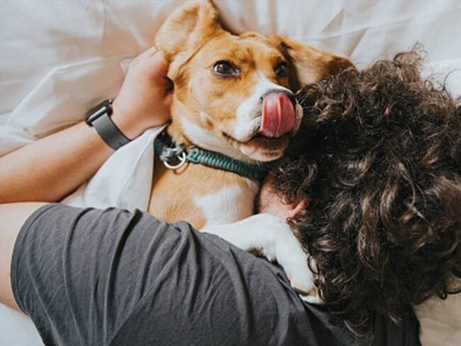 ¿Cómo lleva usted la perdida de una mascota?. Foto: Getty Images