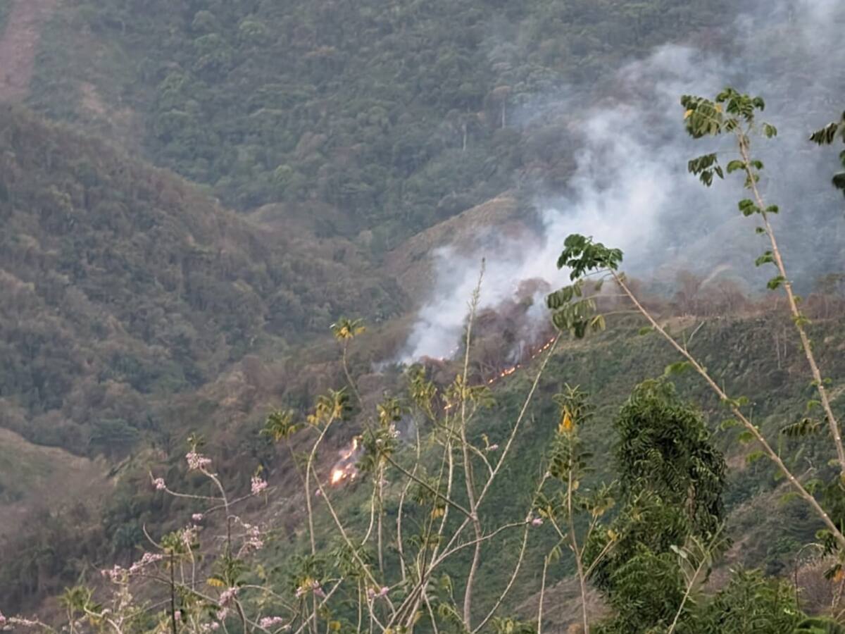 Murió un bombero mientras atendía un incendio forestal en la Zona Bananera