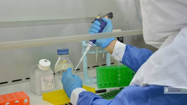 Detectan variante californiana del COVID-19 en Córdoba.Foto: Unicor-Referencia.