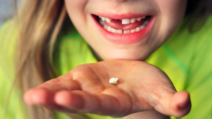 Purva Merchant, ‘El Hada de los Dientes’: “Quiero que los niños se enorgullezcan de su sonrisa”