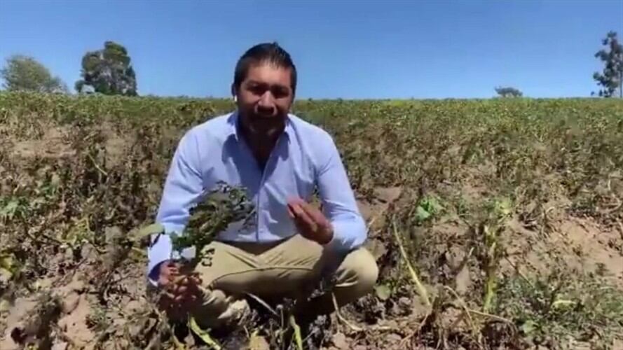 Las familias afectadas por las heladas llega a las 3000 en Boyacá.. Foto: Foto Cortesía