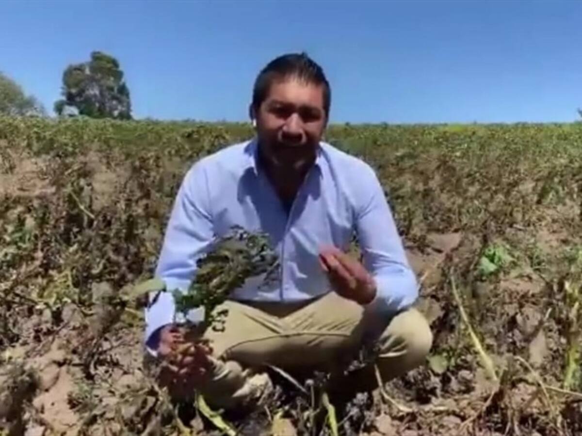 “Los campesinos no son ni limosneros ni pordioseros”: dice César Pachón a MinAgricultura