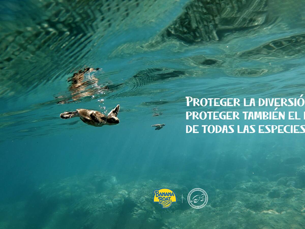 Nest Domes: La apuesta de Banana Boat para preservar la población de las tortugas marinas