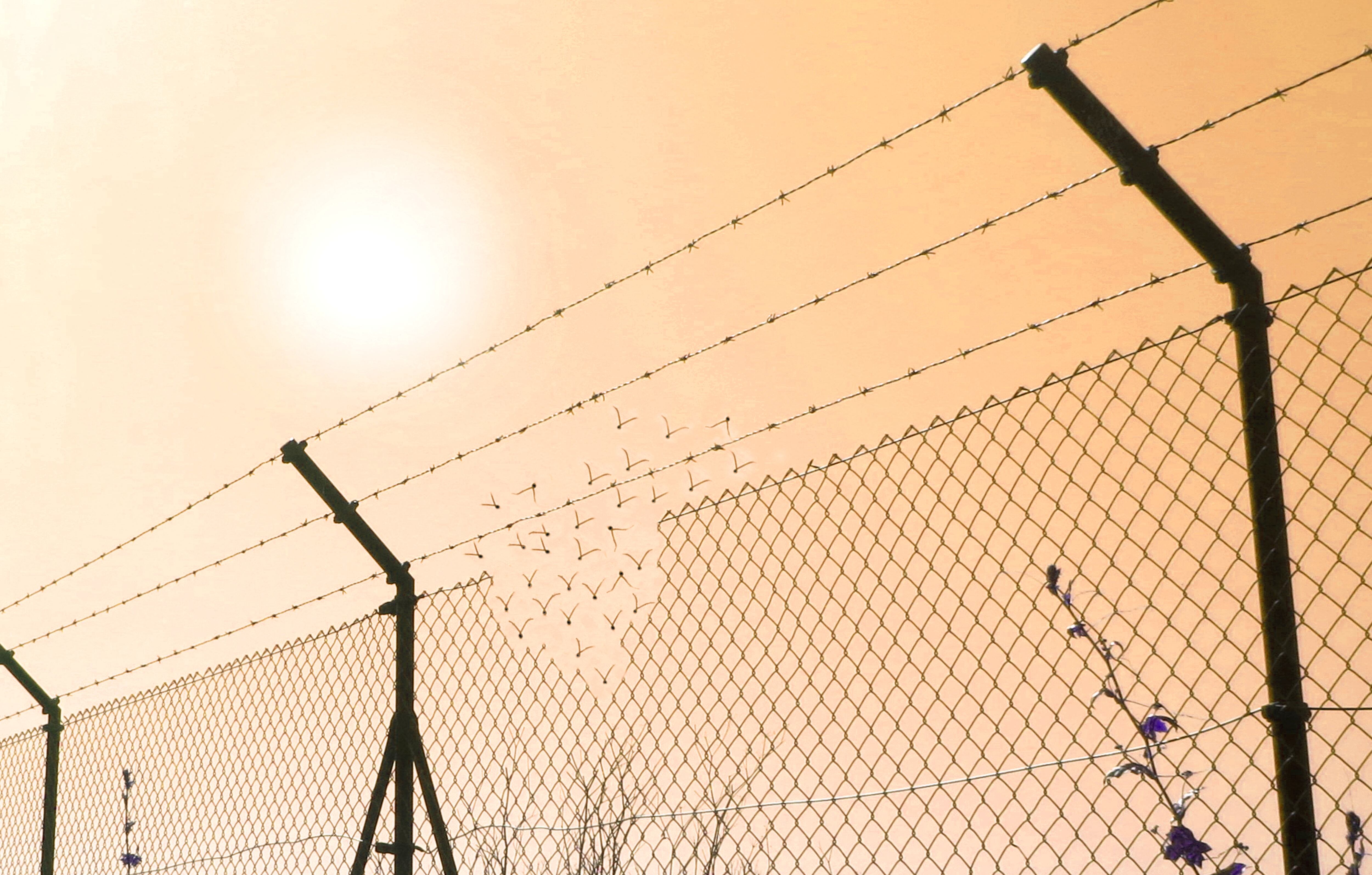 Foto de stock - Getty Images