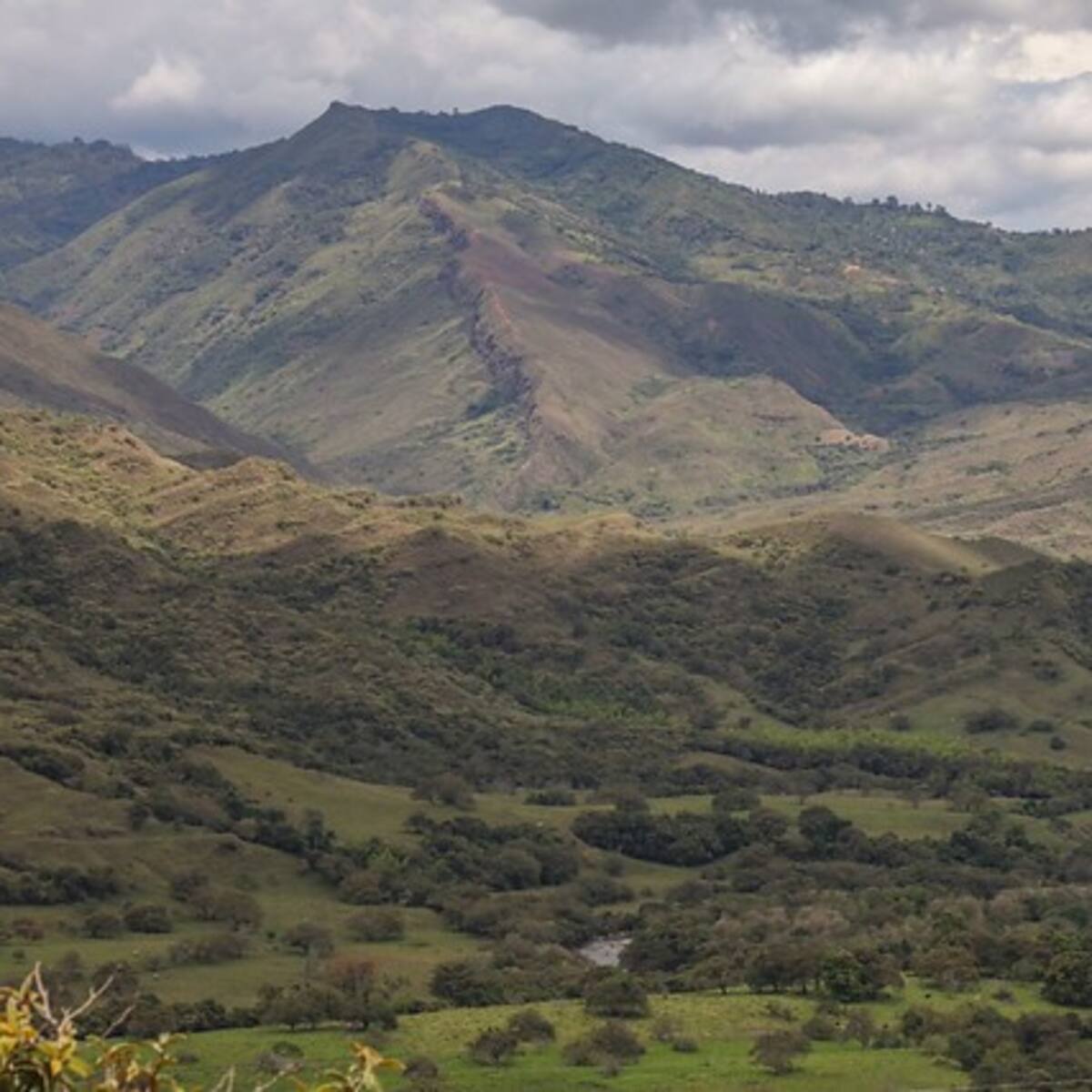 Empresario “clave” por despojo de tierras en Urabá quedó por fuera de la JEP