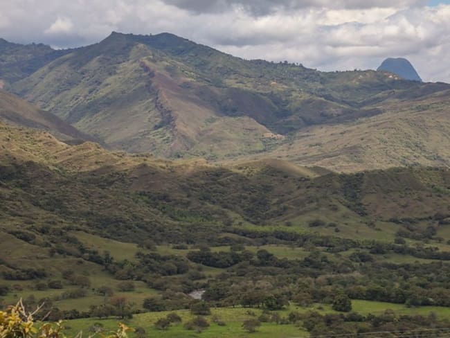 Empresario "clave" por despojo de tierras en Urabá queda por fuera de la JEP. Foto/Colprensa.