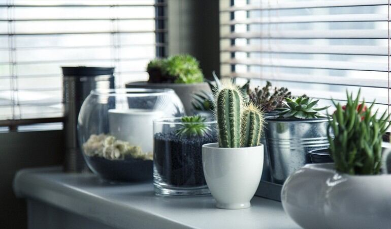 Tres consejos básicos para decorar tu casa con poco presupuesto. Foto: Pixabay
