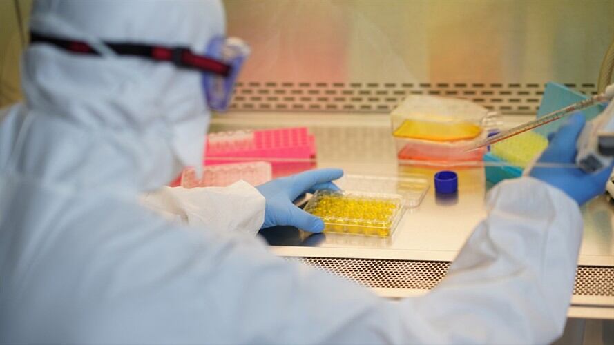 Imagen de referencia. Foto: Getty Images