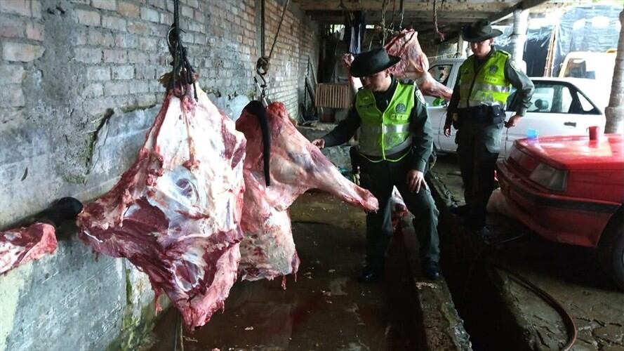 Uniformados del Grupo de Protección Ambiental y Ecológica de la Policía Metropolitana de Popayán incautaron 500 kilogramos de carne de res. Foto: Policía Nacional