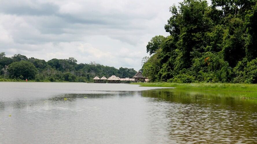 Cinco datos que debe conocer sobre el Amazonas. Foto: Colprensa