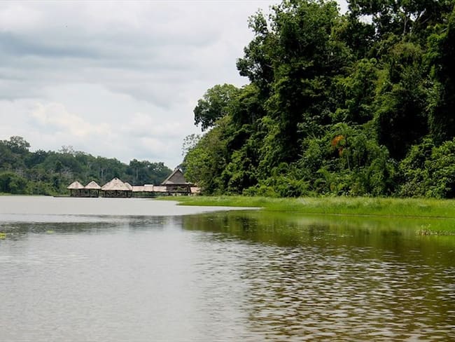 Cinco datos que debe conocer sobre el Amazonas. Foto: Colprensa