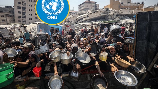 La ONU declaró oficialmente la situación de hambruna en la Franja de Gaza. Foto: Getty Images.