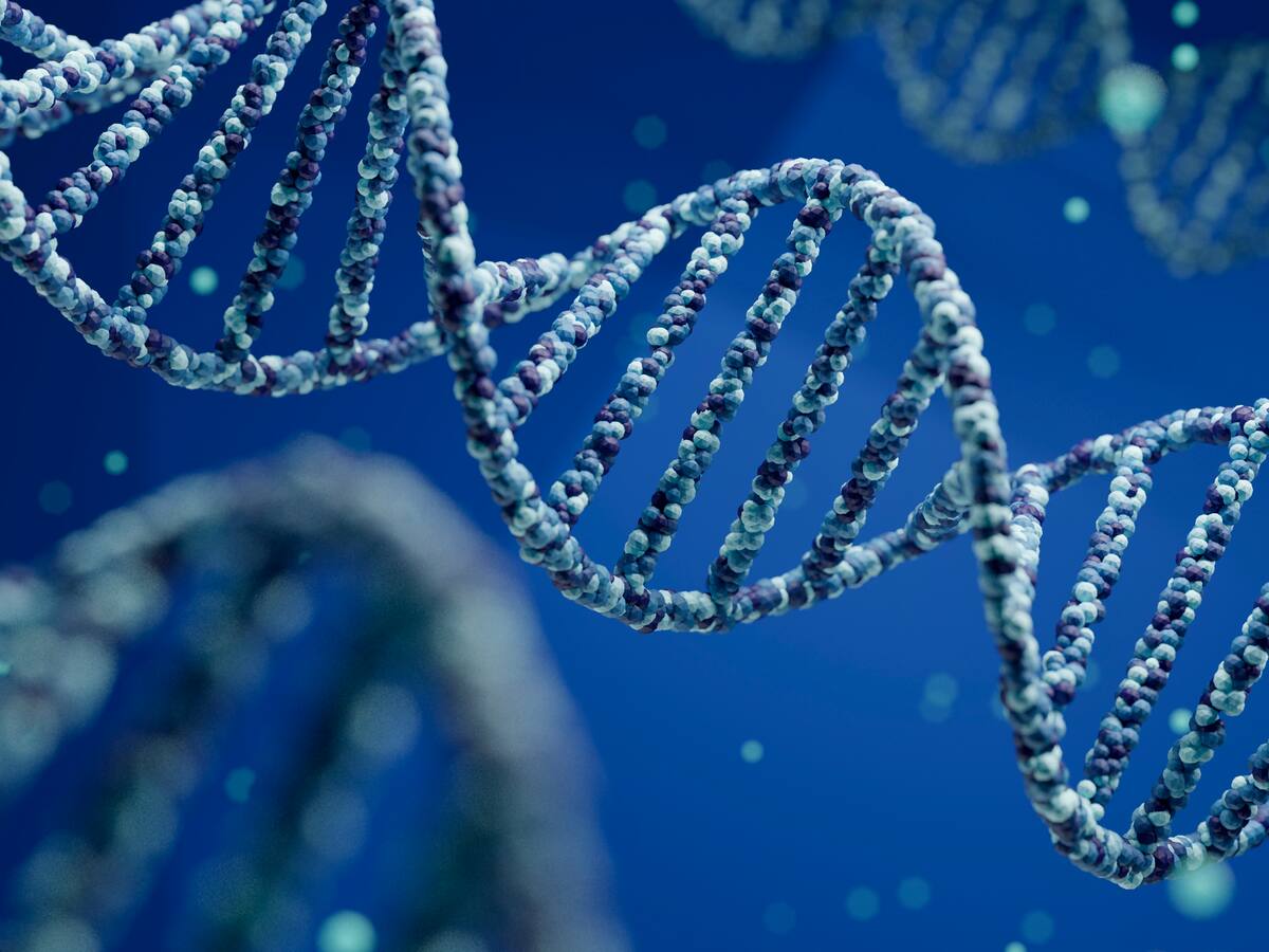 ¿A qué personaje o especie usted quisiera revivir?