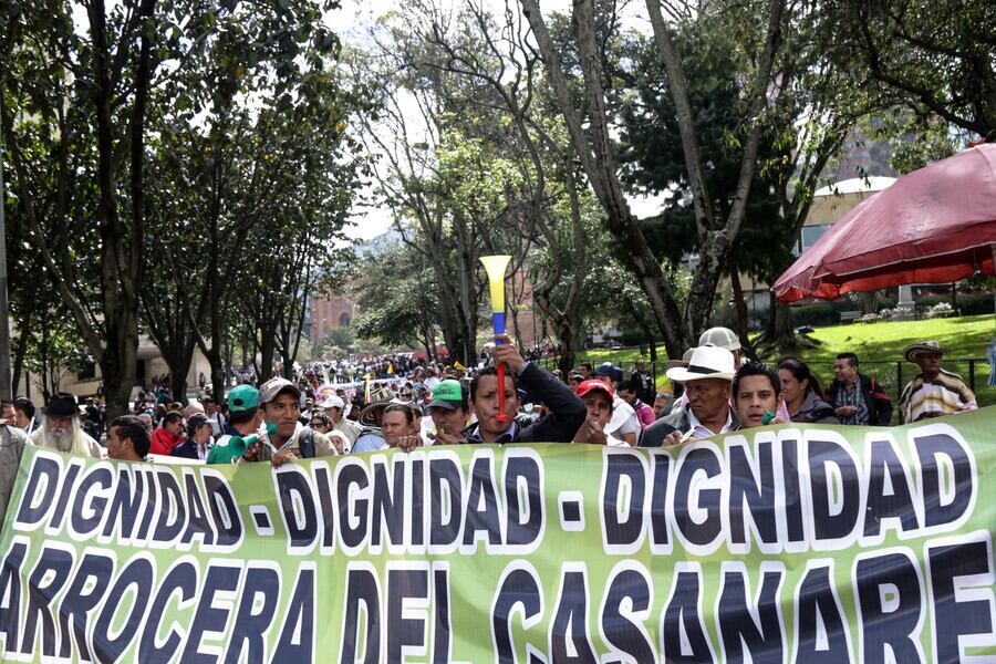 Paro arrocero en Colombia. Foto: Colprensa.