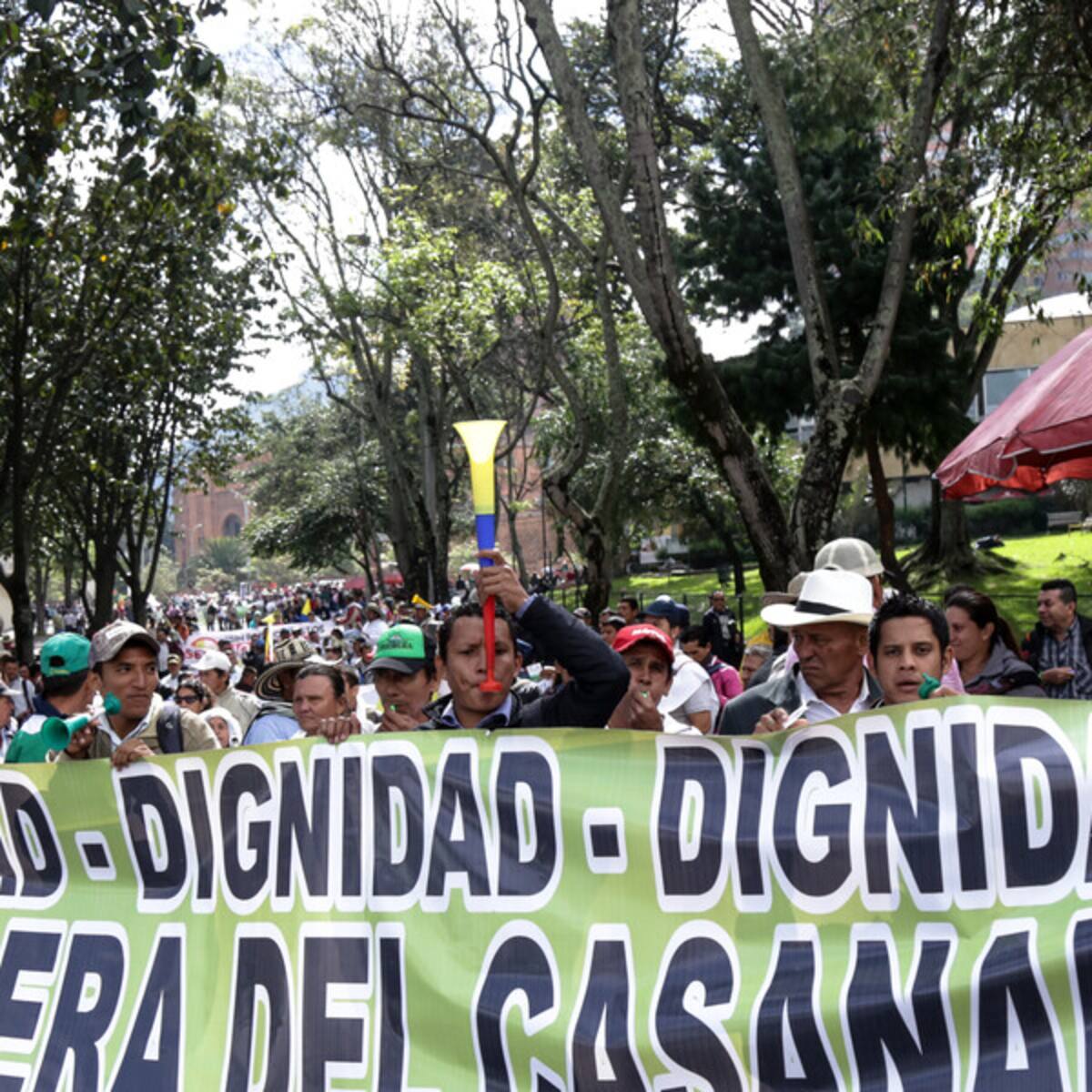 Paro arrocero: empresarios lanzan propuestas para solucionar y alertan posible incremento de precios