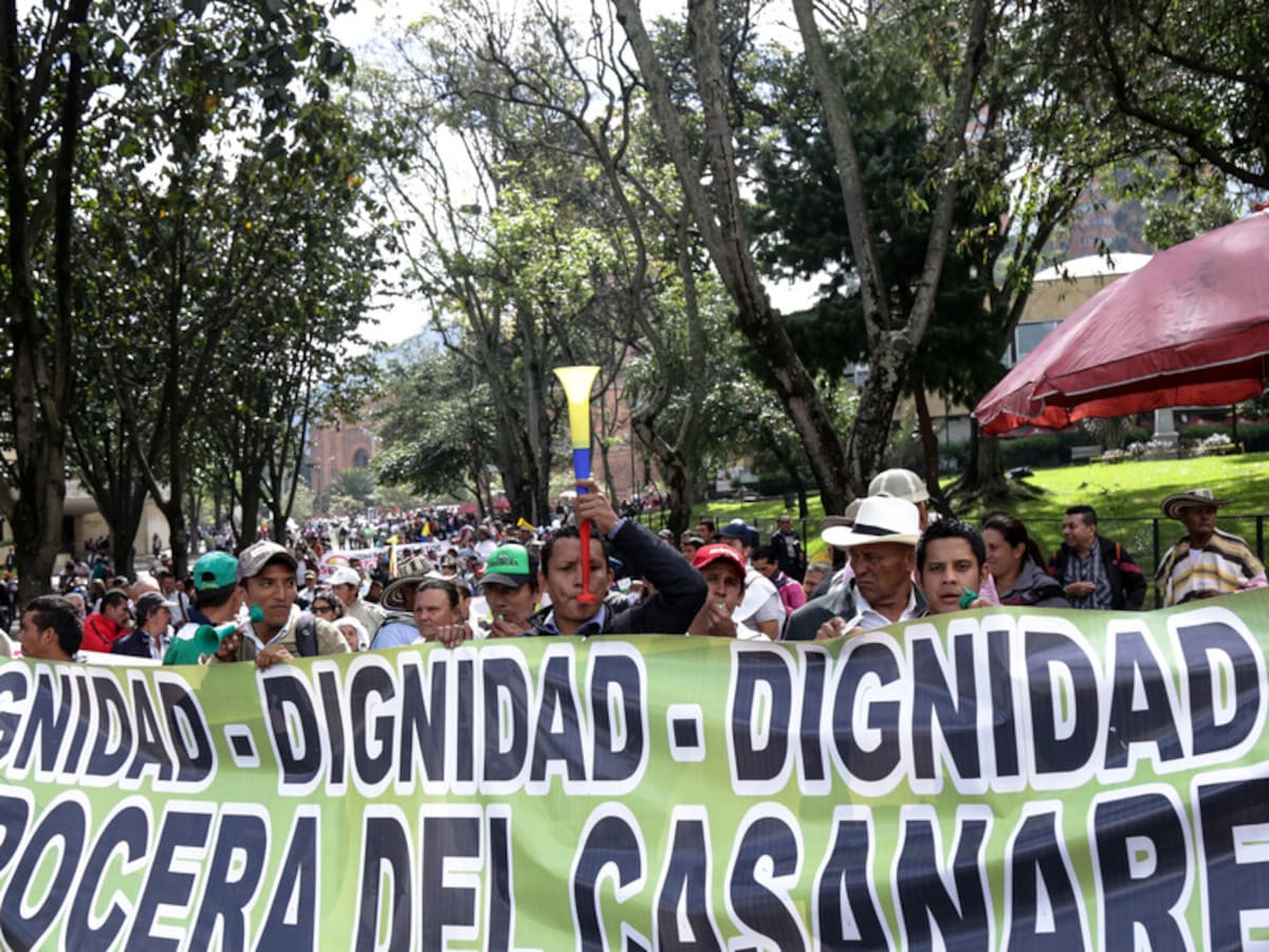 Paro arrocero: empresarios lanzan propuestas para solucionar y alertan posible incremento de precios