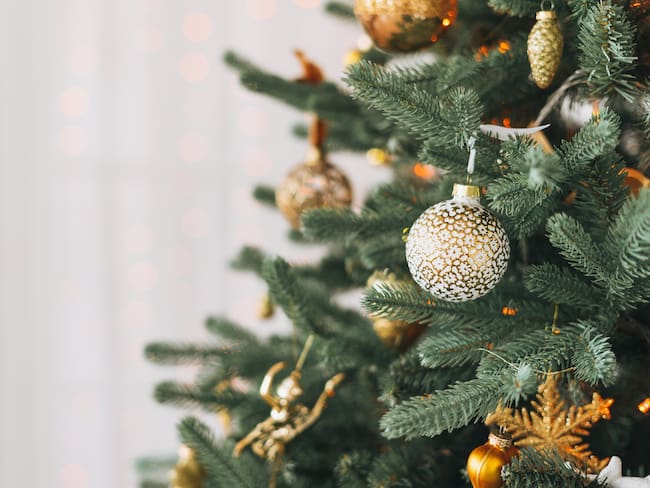 Imagen de referencia de árbol de Navidad
