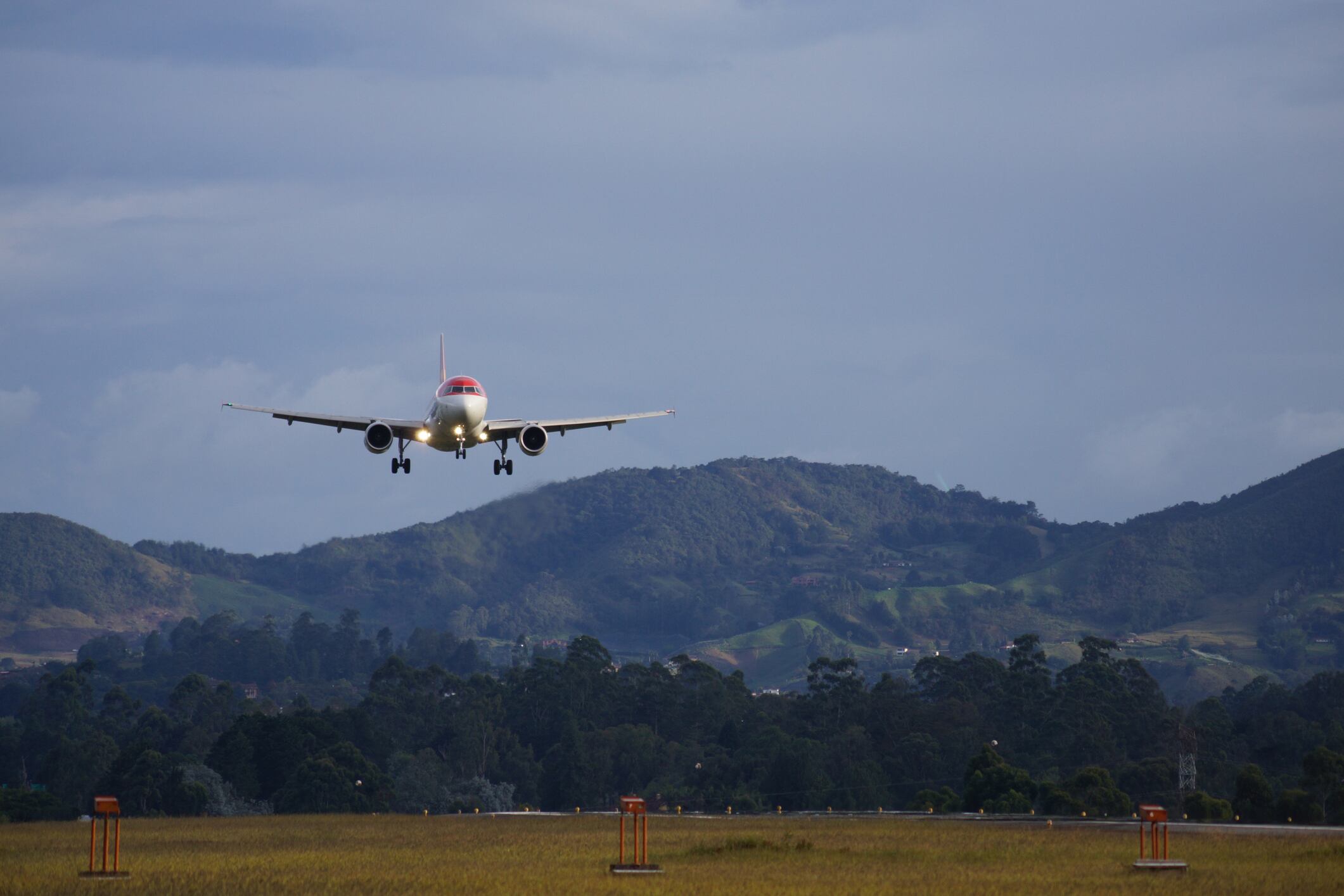 Imagen de referencia.