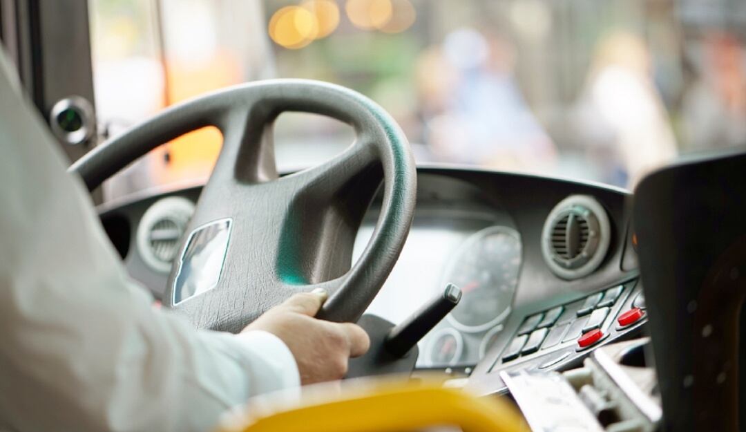 Transportadores/referencia.