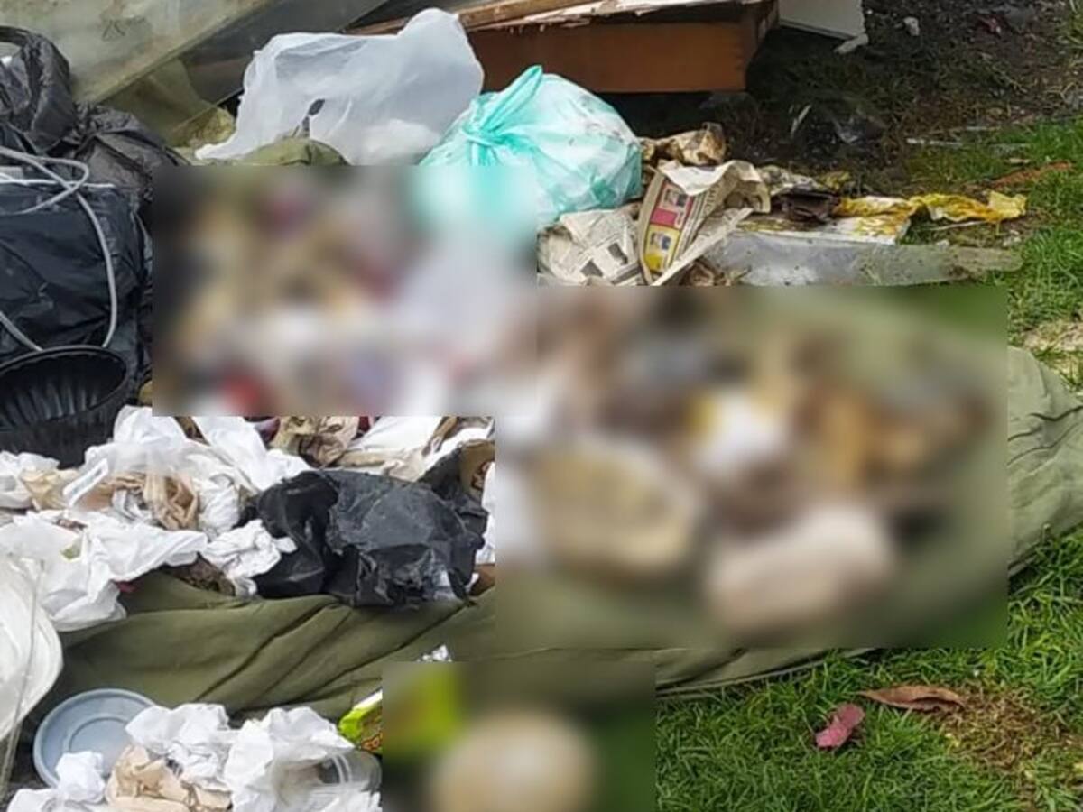 Policía aclara que restos óseos encontrados en Bogotá eran usados con fines académicos