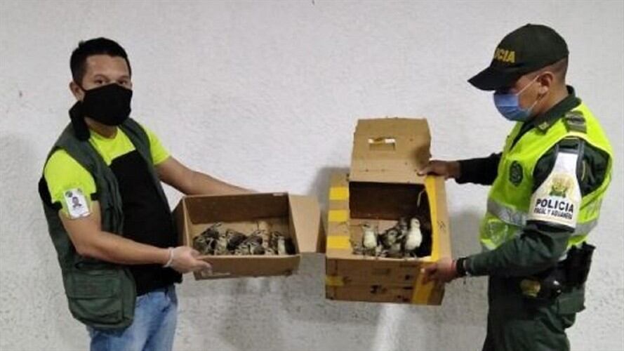 El operativo se llevó a cabo en “El Ebanal”, el cual conecta a los departamentos de La Guajira y Magdalena.. Foto: Cortesía Policía Fiscal y Aduanera