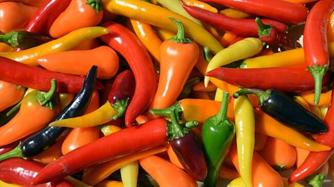 Consumir picante ayuda a liberar la hormona del placer. Foto: Getty Images