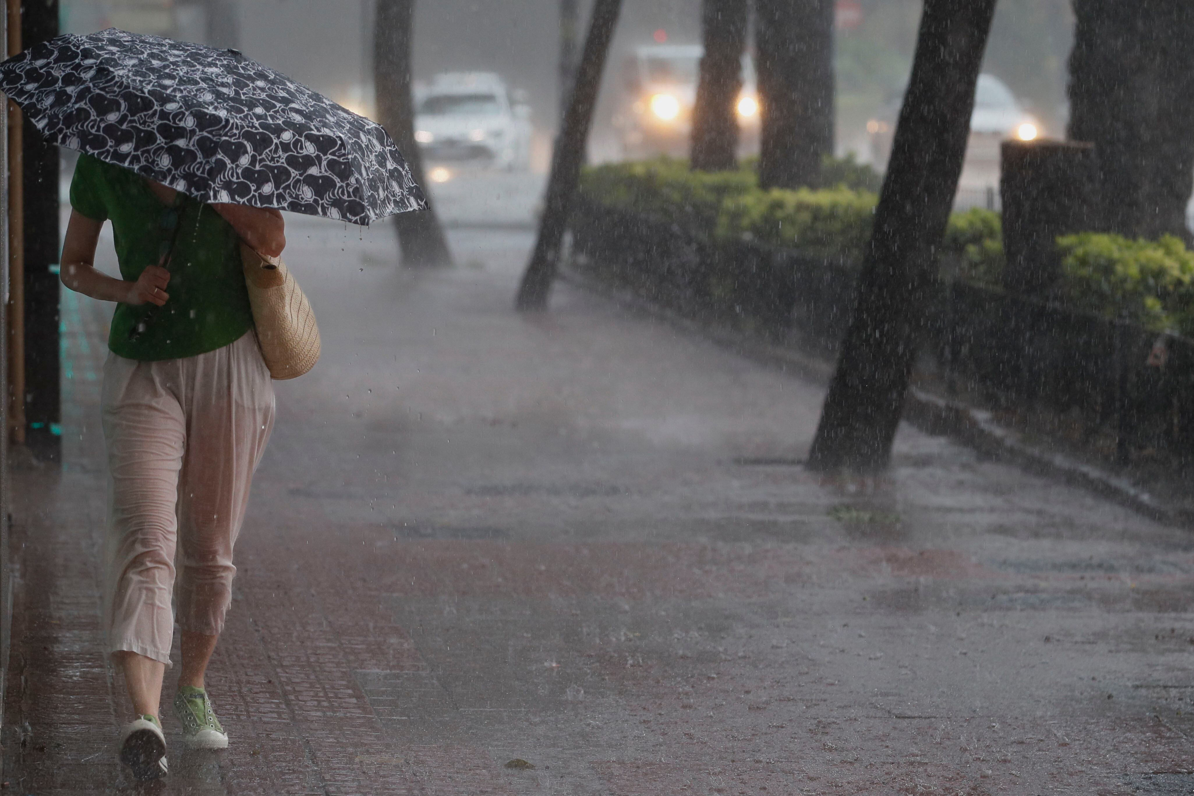 VALENCIA (ESPAÑA), 02/09/2023.- Una mujer camina por la acera bajo una intensa lluvia este sábado en Valencia. La Agencia Estatal de Meteorología (Aemet) ha activado para este sábado el riesgo naranja por lluvias de hasta 40 litros por metro cuadrado en una hora y tormentas que pueden ir acompañadas de granizo y rachas de viento muy fuerte en la provincia de Castellón y en el litoral de la de València. EFE/ Juan Carlos Cárdenas