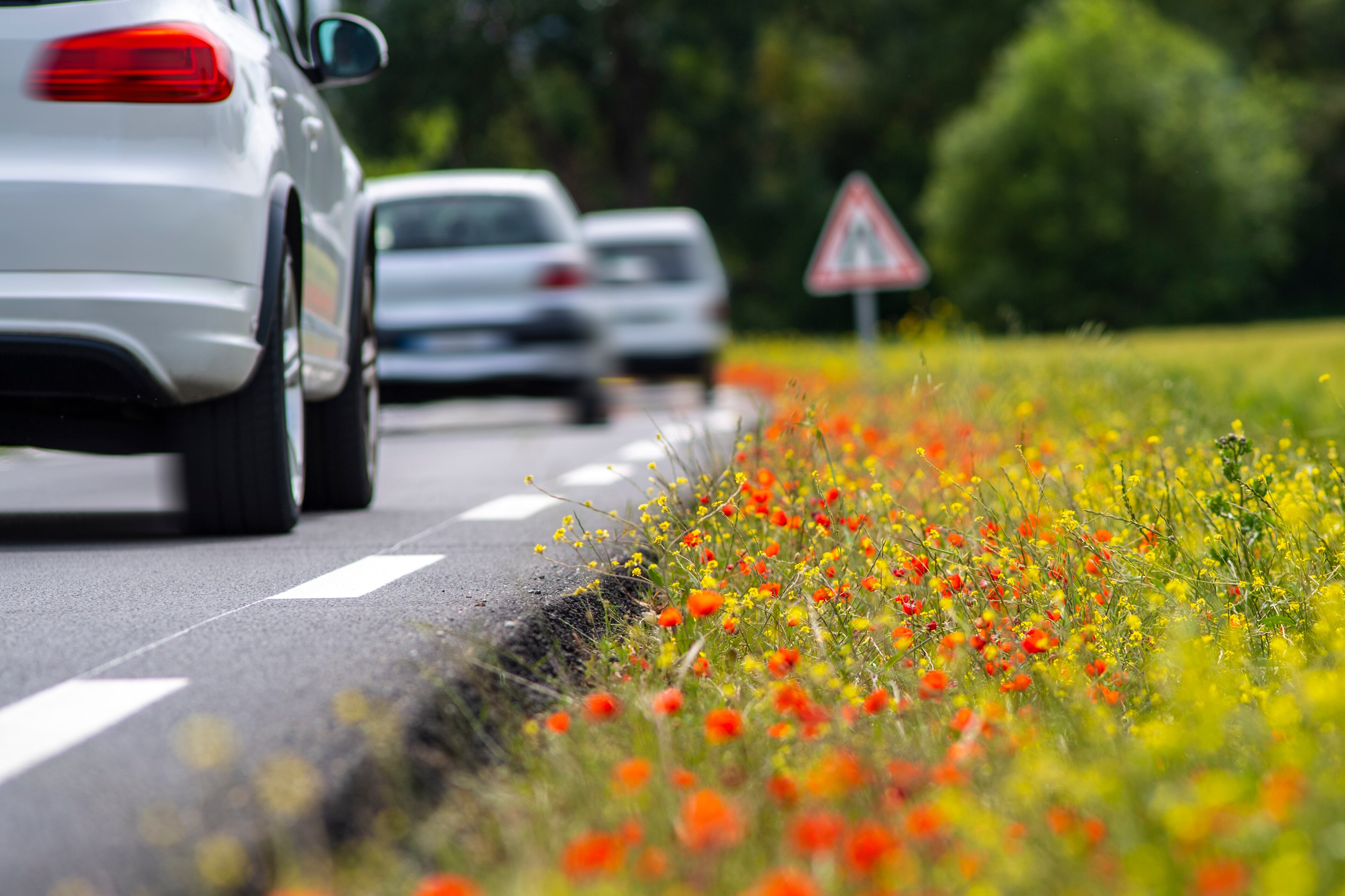 Imagen de referencia. Foto: Frédéric Michel/Getty Images