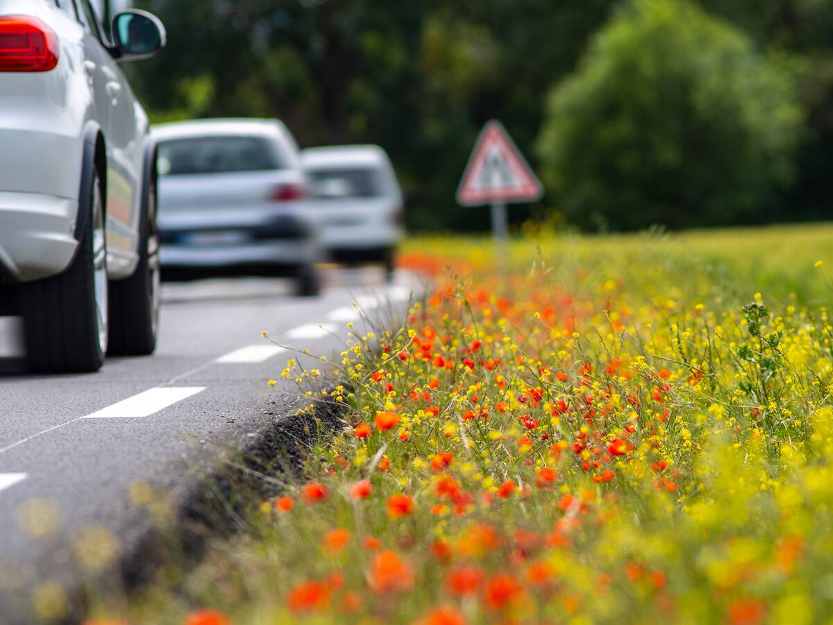 Francia suprimirá progresivamente la rebaja del carburante