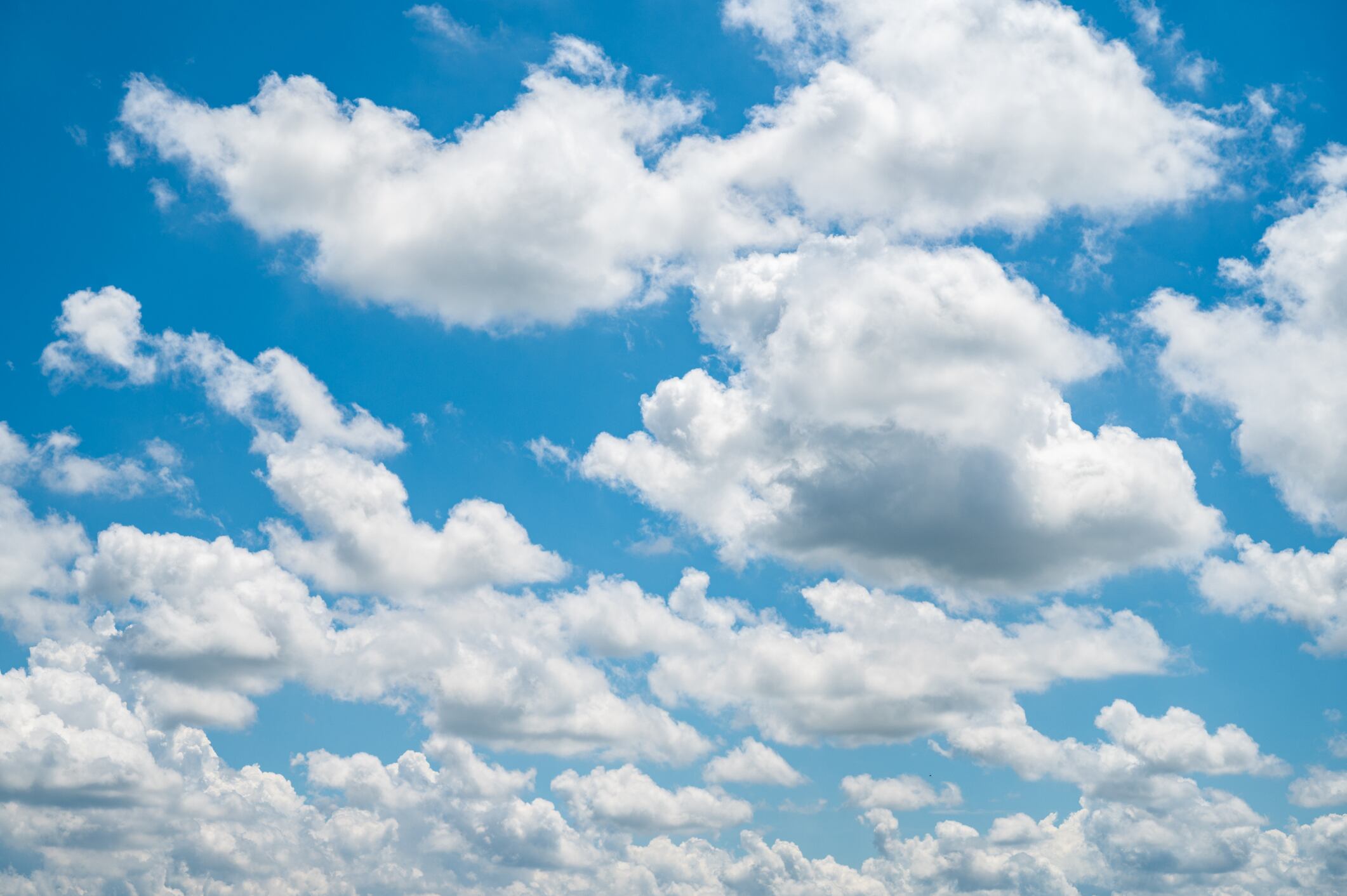 Imagen de referencia. Foto: Getty Images