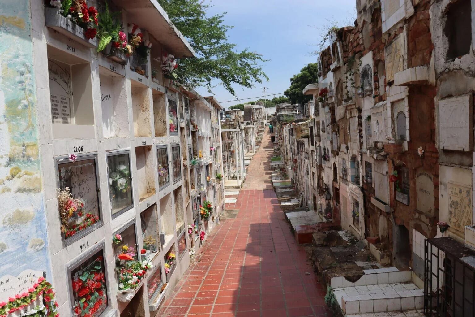 Cementerio Central Cúcuta