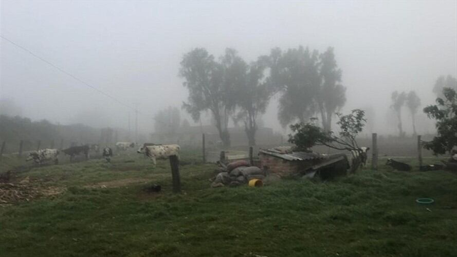 Minagricultura no descarta que, por heladas en el país, haya escasez de algunos alimentos. Foto: Cortesía