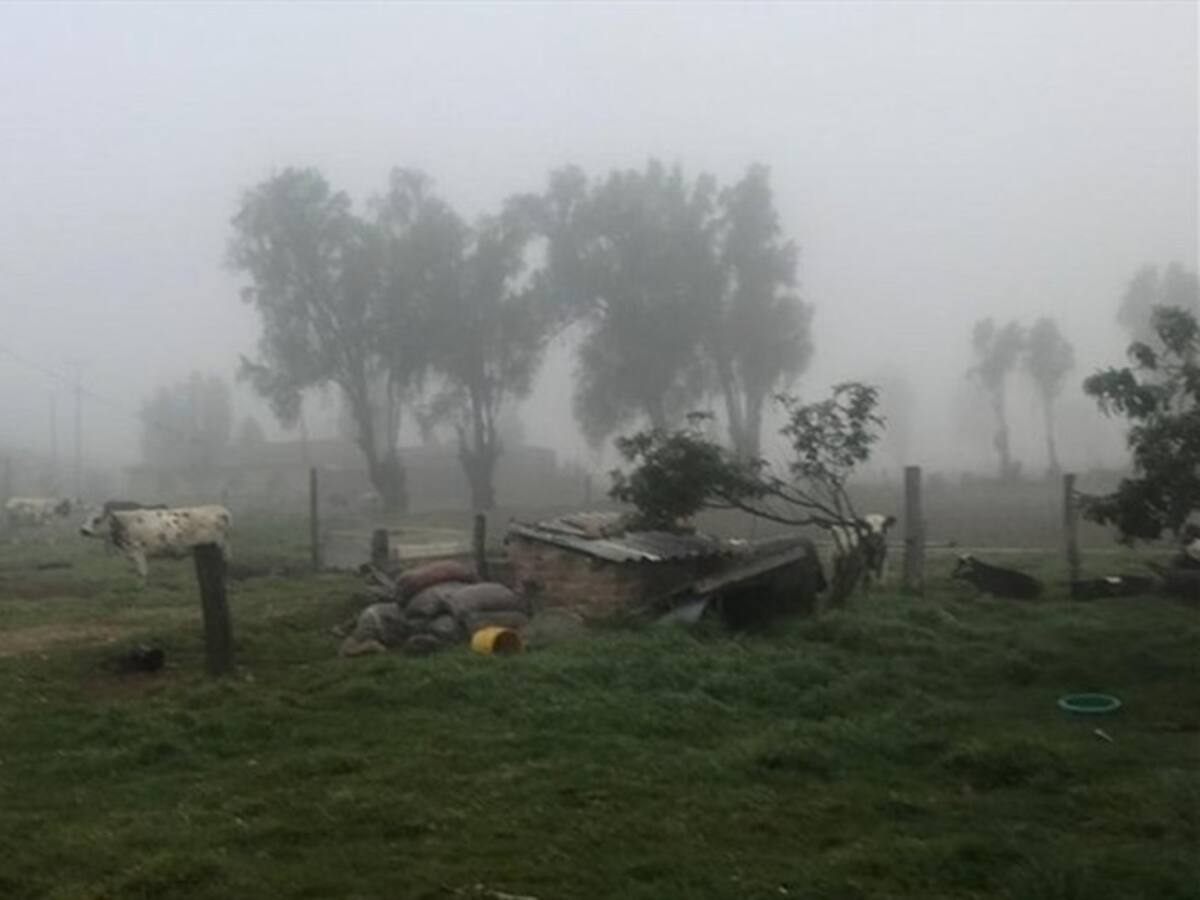Minagricultura no descarta que, por heladas en el país, haya escasez de algunos alimentos