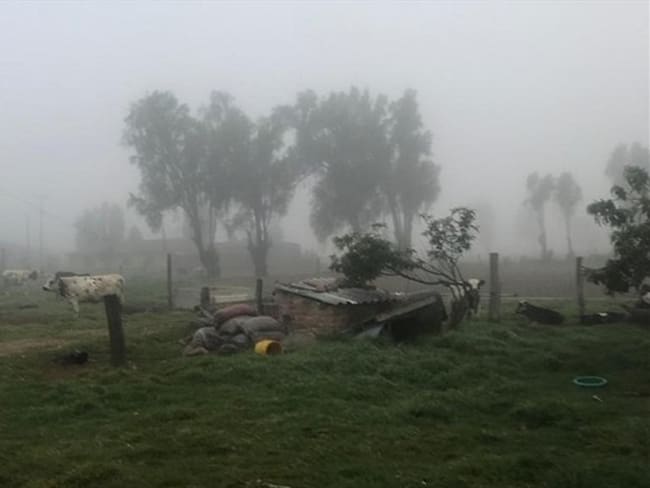Minagricultura no descarta que, por heladas en el país, haya escasez de algunos alimentos. Foto: Cortesía
