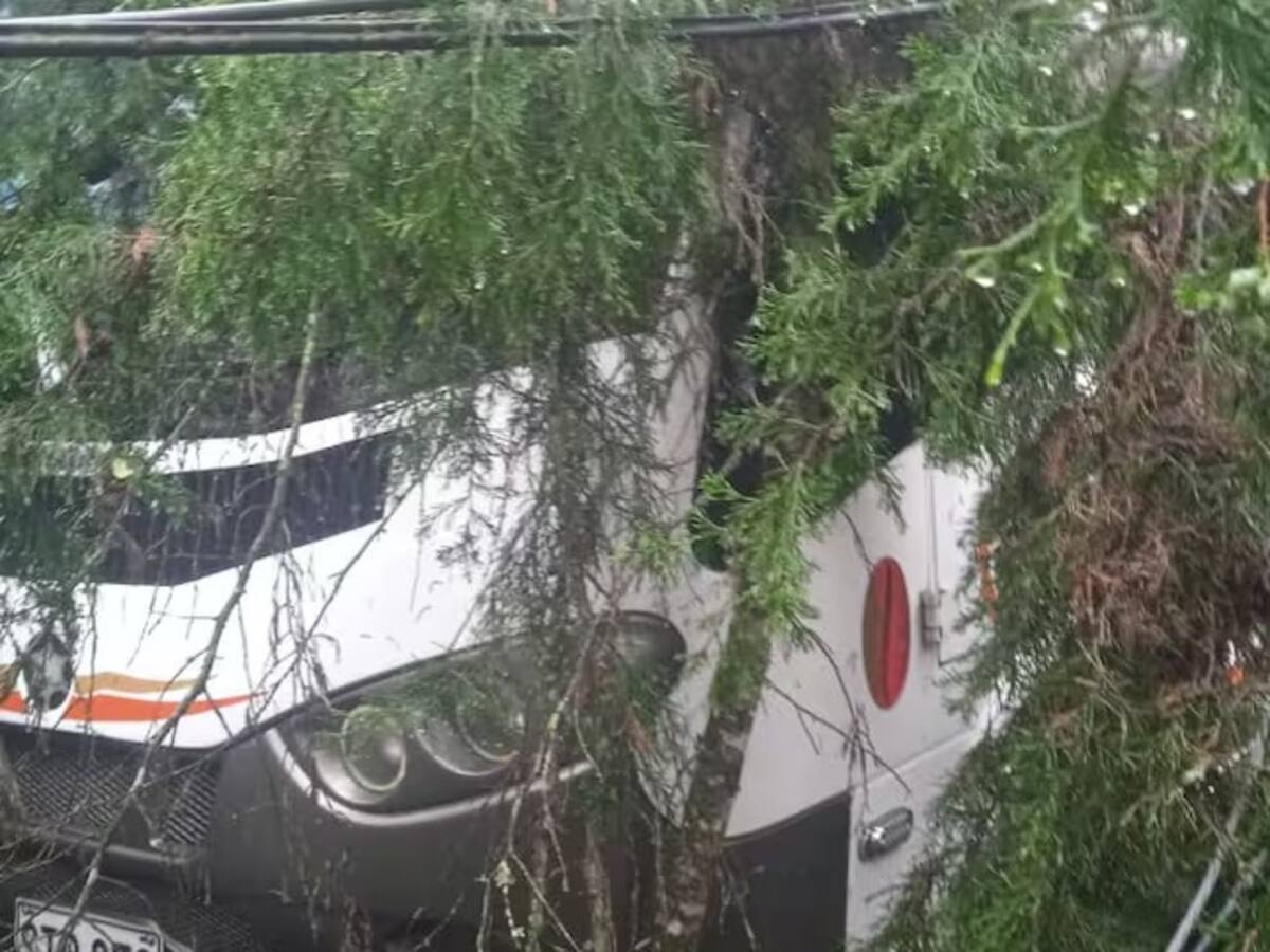Ciclista murió cuando le cayó un árbol en medio de fuertes lluvias en Villamaría, Caldas