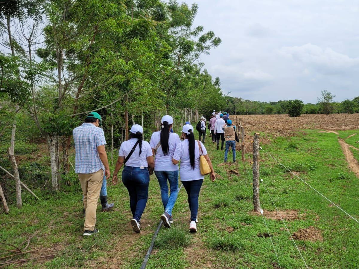 Cuatro zonas serán intervenidas por la Unidad de Restitución de Tierras en Córdoba