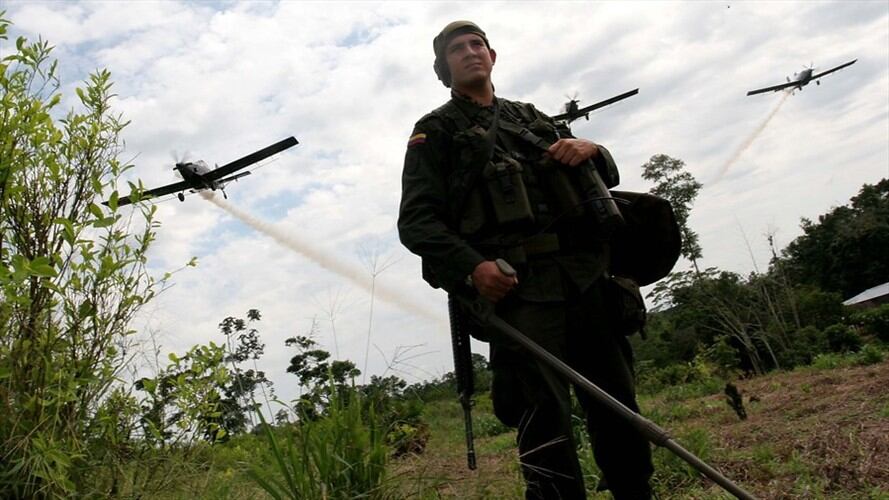 Corte Constitucional precisó condiciones para reanudación de aspersión aérea con glifosato. Foto: Colprensa