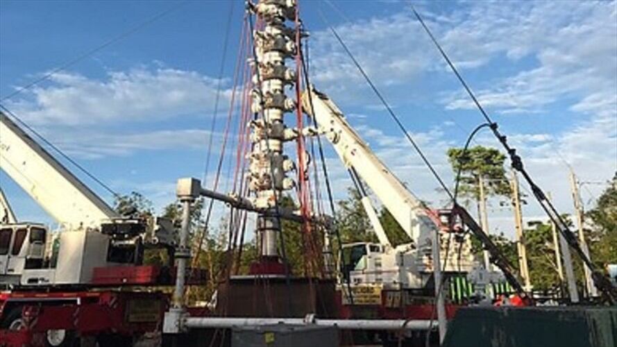 Imagen de referencia. Foto: Colprensa