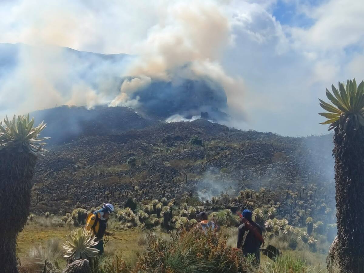 Más de 15 hectáreas afectadas por incendios en el departamento de Nariño