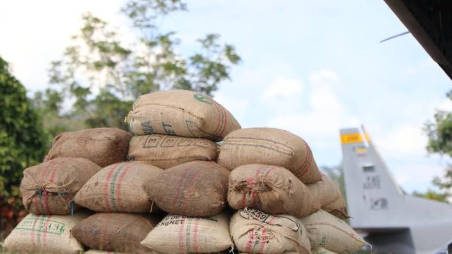 Cultivos ilícitos. Créditos: Colprensa