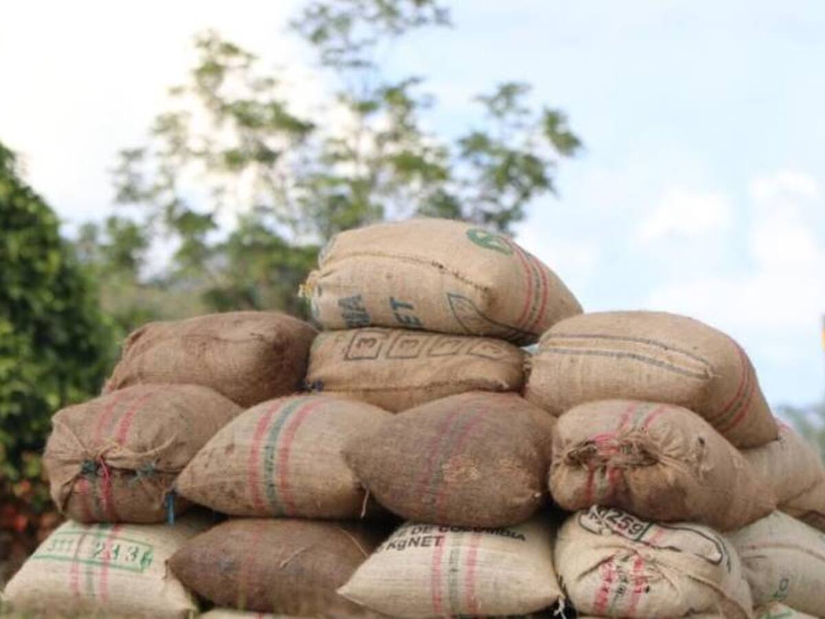 Hay zonas que necesitan de aspersión aérea: Colombia a EEUU