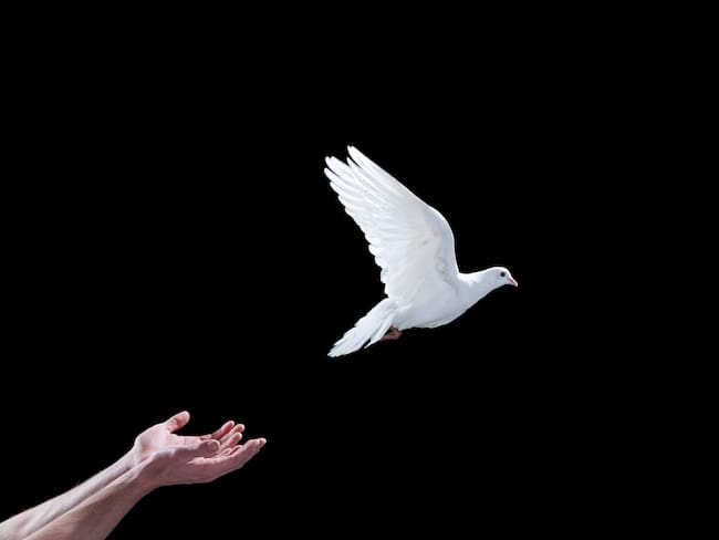 Imagen de referencia de paz. Foto: John Scott / Getty Images