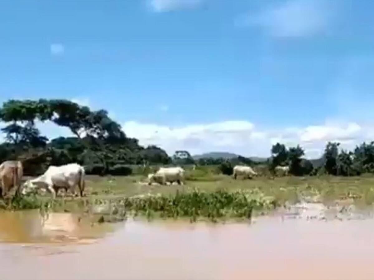 Reportan inundaciones en zona rural de Montecristo, sur de Bolívar