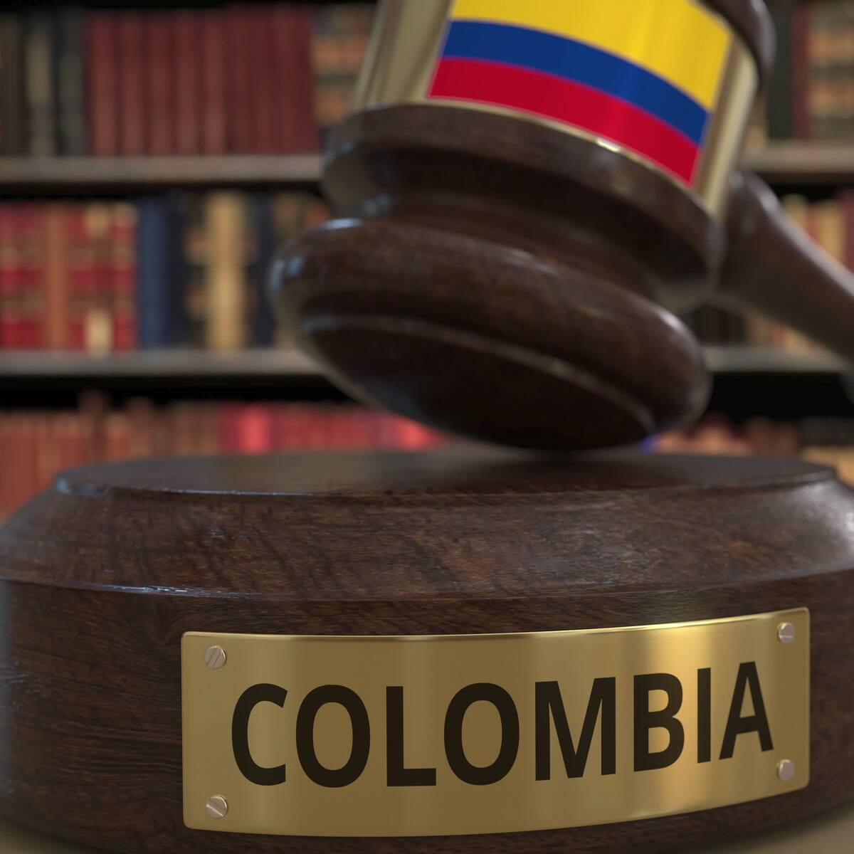¿A quiénes o qué debemos proteger en Colombia?