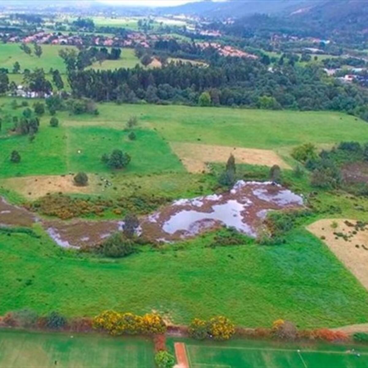 Bogotá implementa mecanismo para proteger la reserva Thomas van der Hammen
