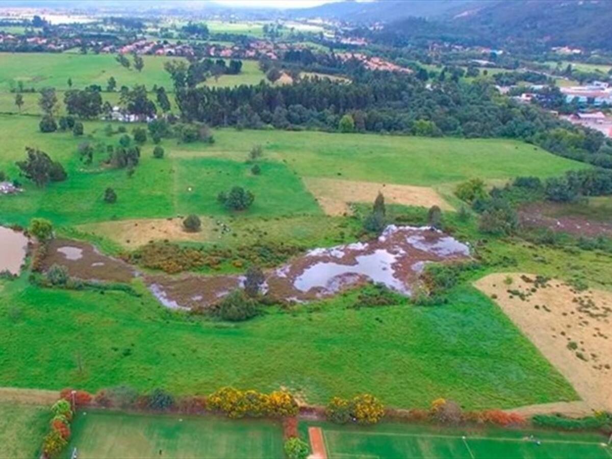 No se pueden desarrollar actividades de floricultura en la reserva Van der Hammen