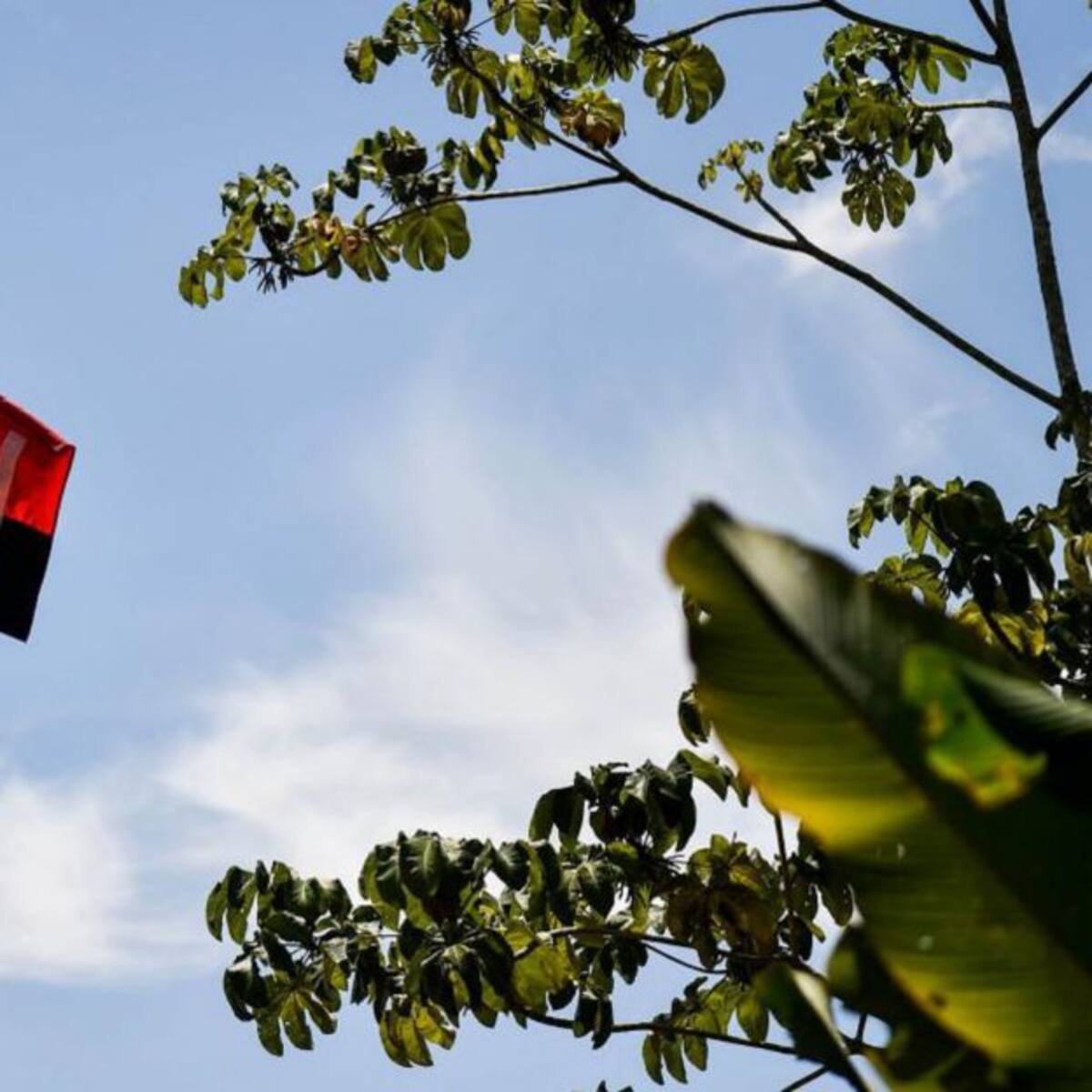 Denuncian que ‘paz total’ generó fortalecimiento de grupos armados en el Catatumbo